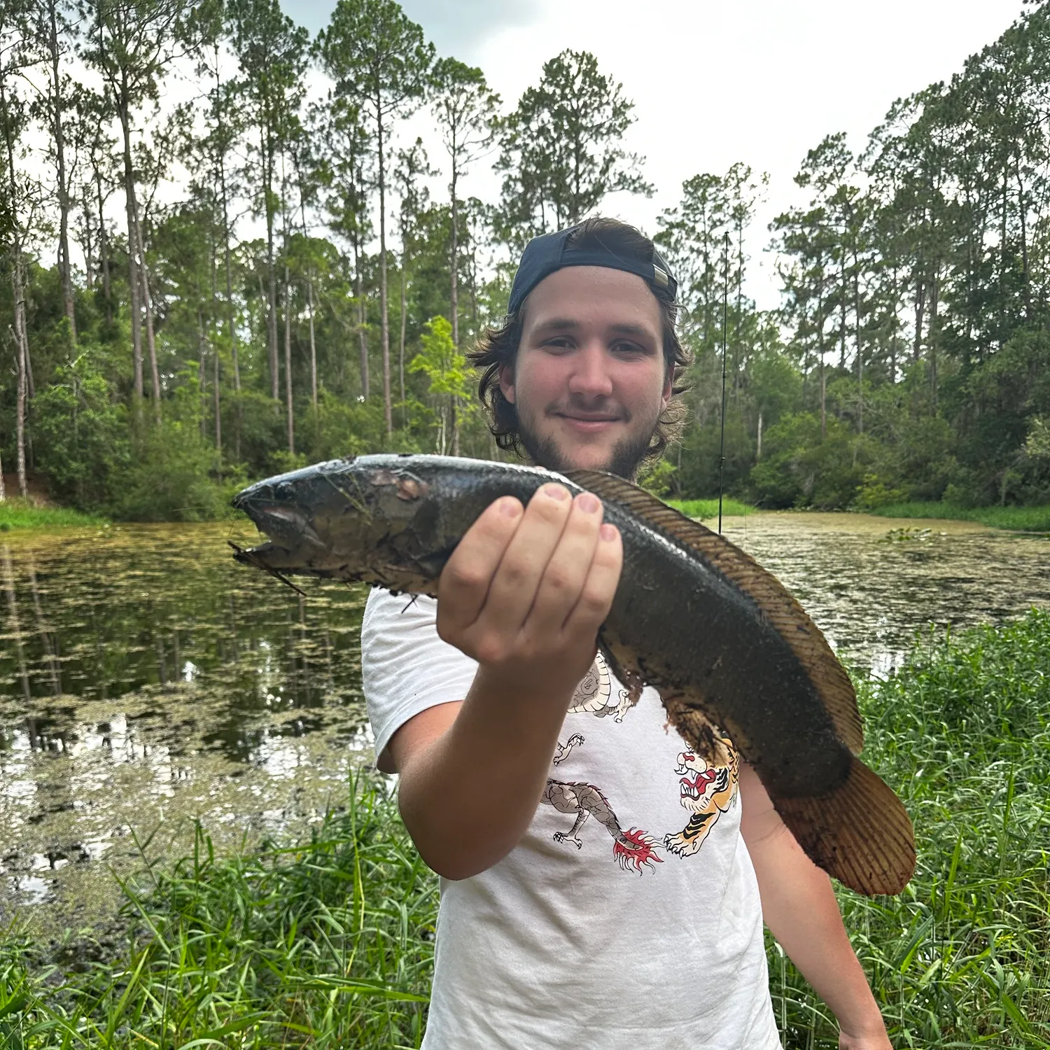 The most recent Ruddy bowfin catches on Fishbrain