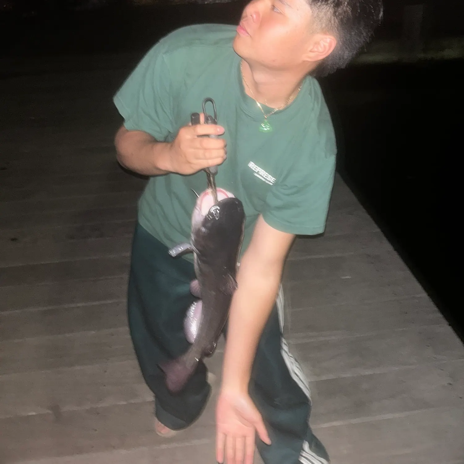 Black bullhead caught on Fishbrain