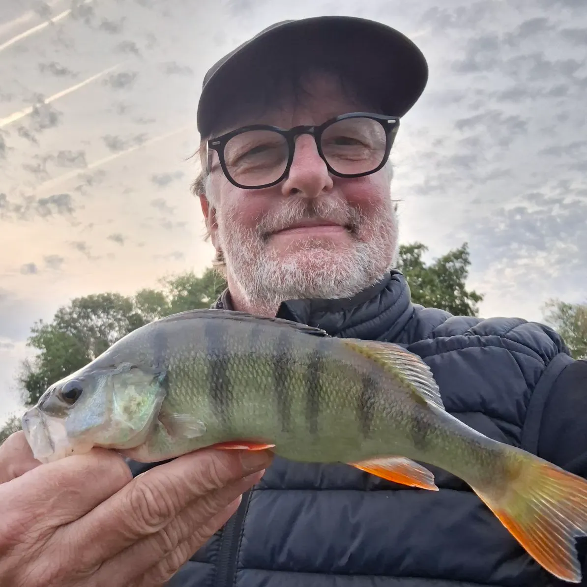 European perch caught on Fishbrain
