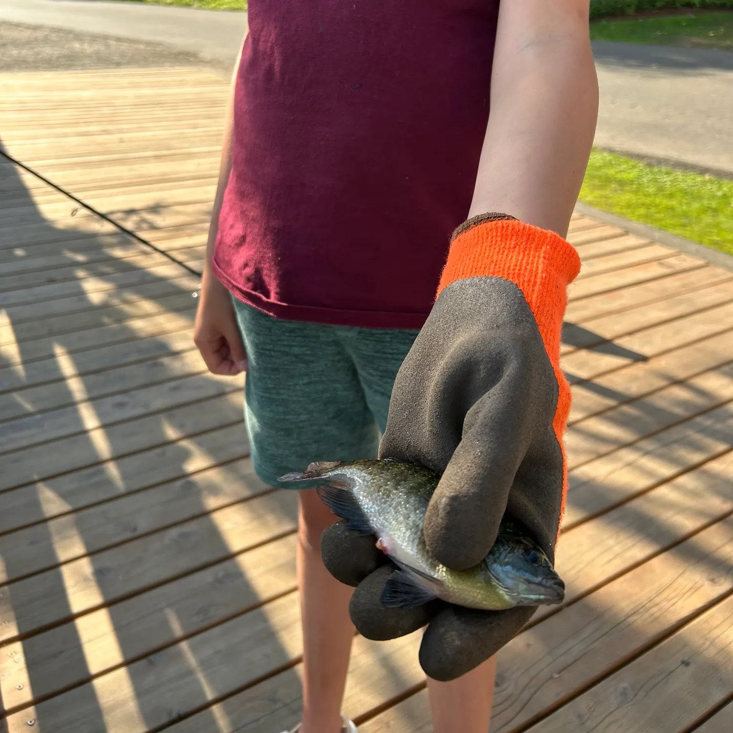 catch