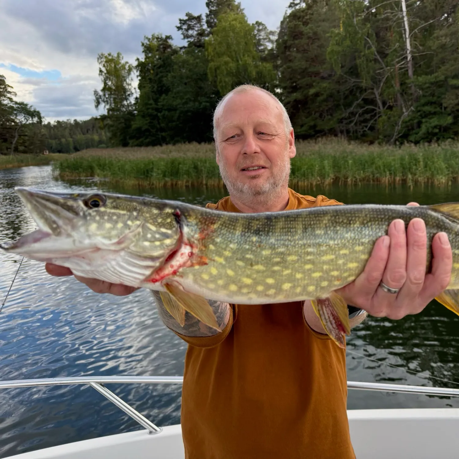 Northern pike caught on Fishbrain