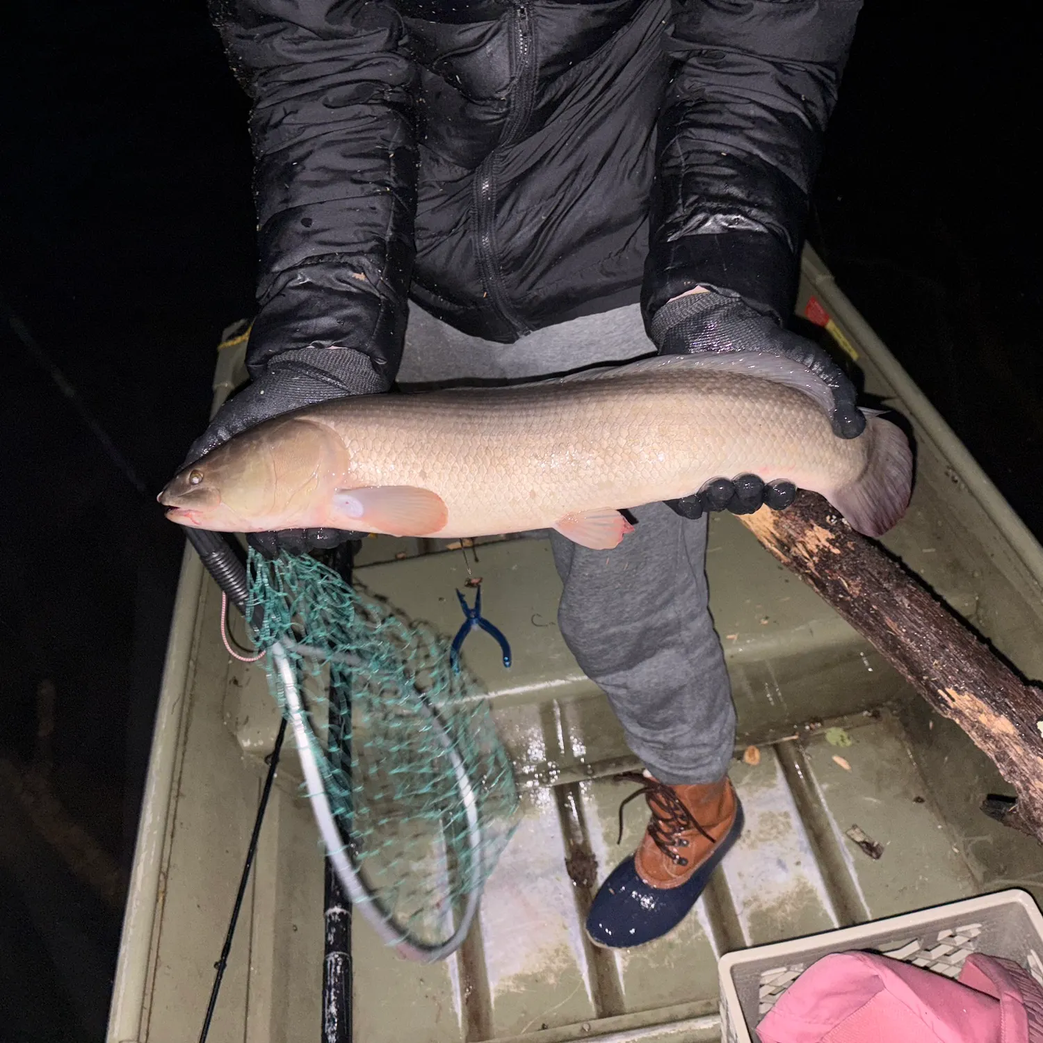 Eyetail bowfin caught on Fishbrain