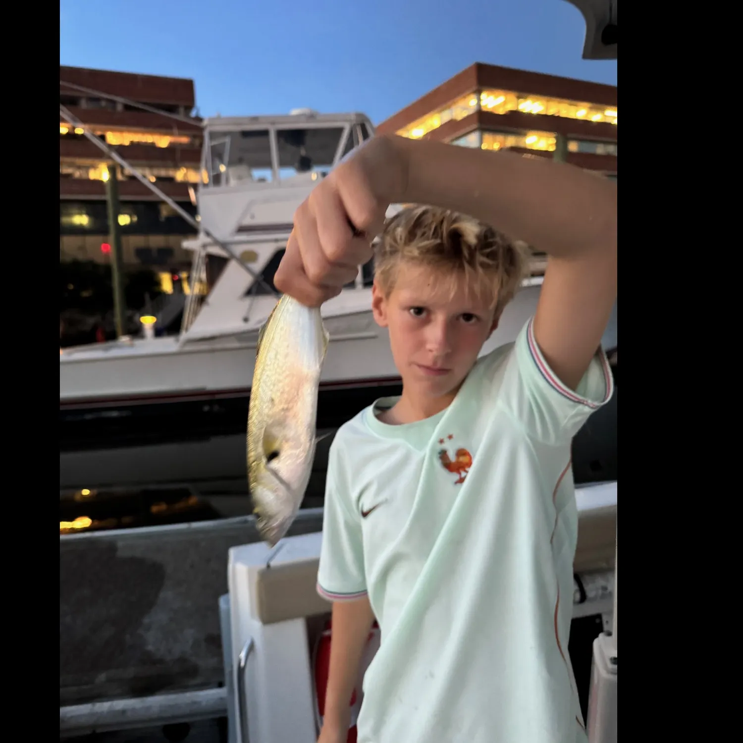Bluefish caught on Fishbrain