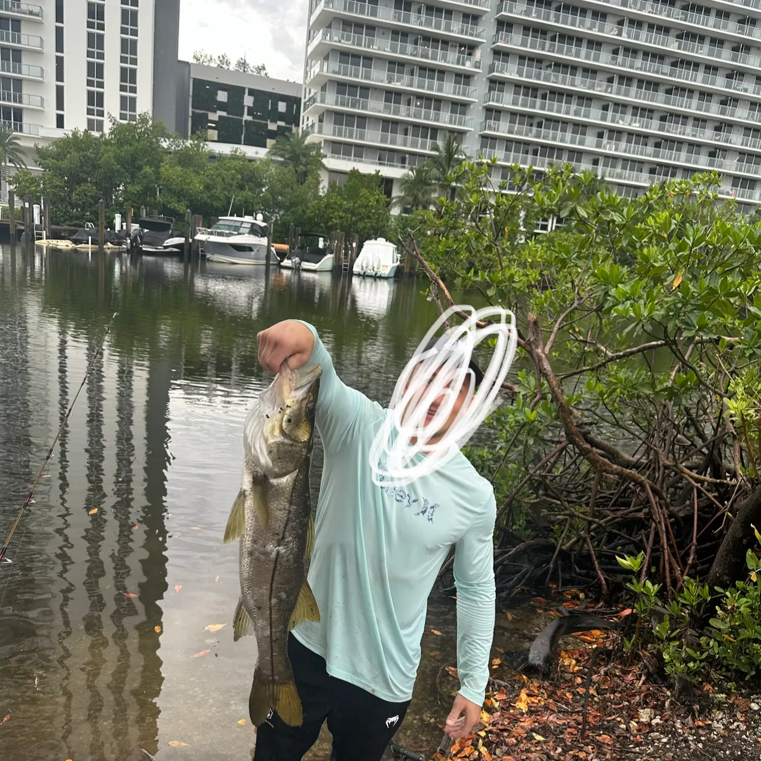 The most recent Fat snook catches on Fishbrain
