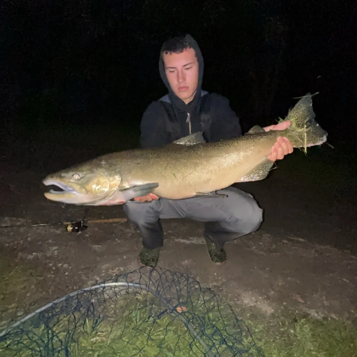 Chinook salmon caught on Fishbrain