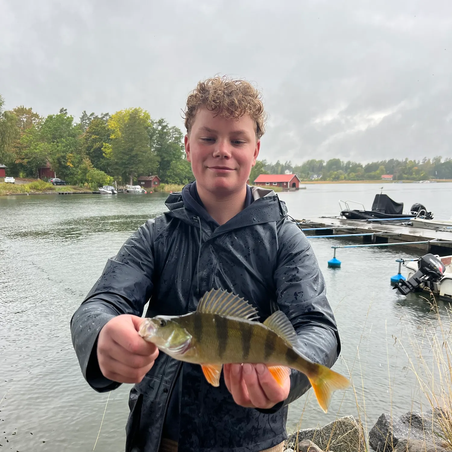 European perch caught on Fishbrain
