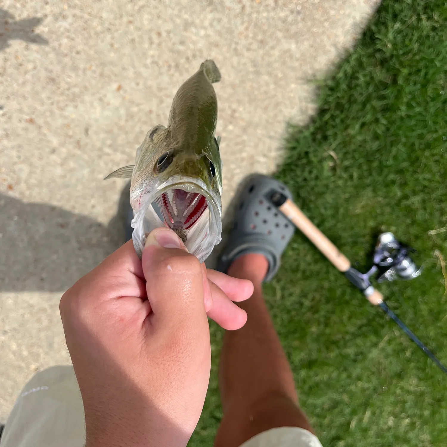 most liked catch image