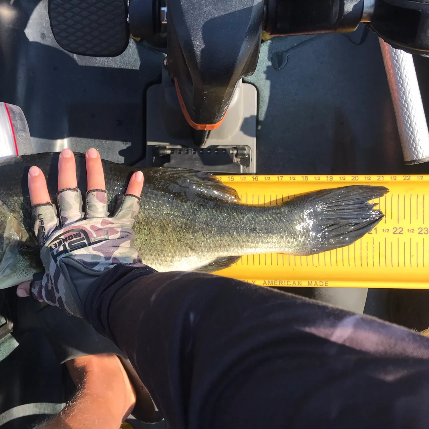 Fish caught on Fishbrain