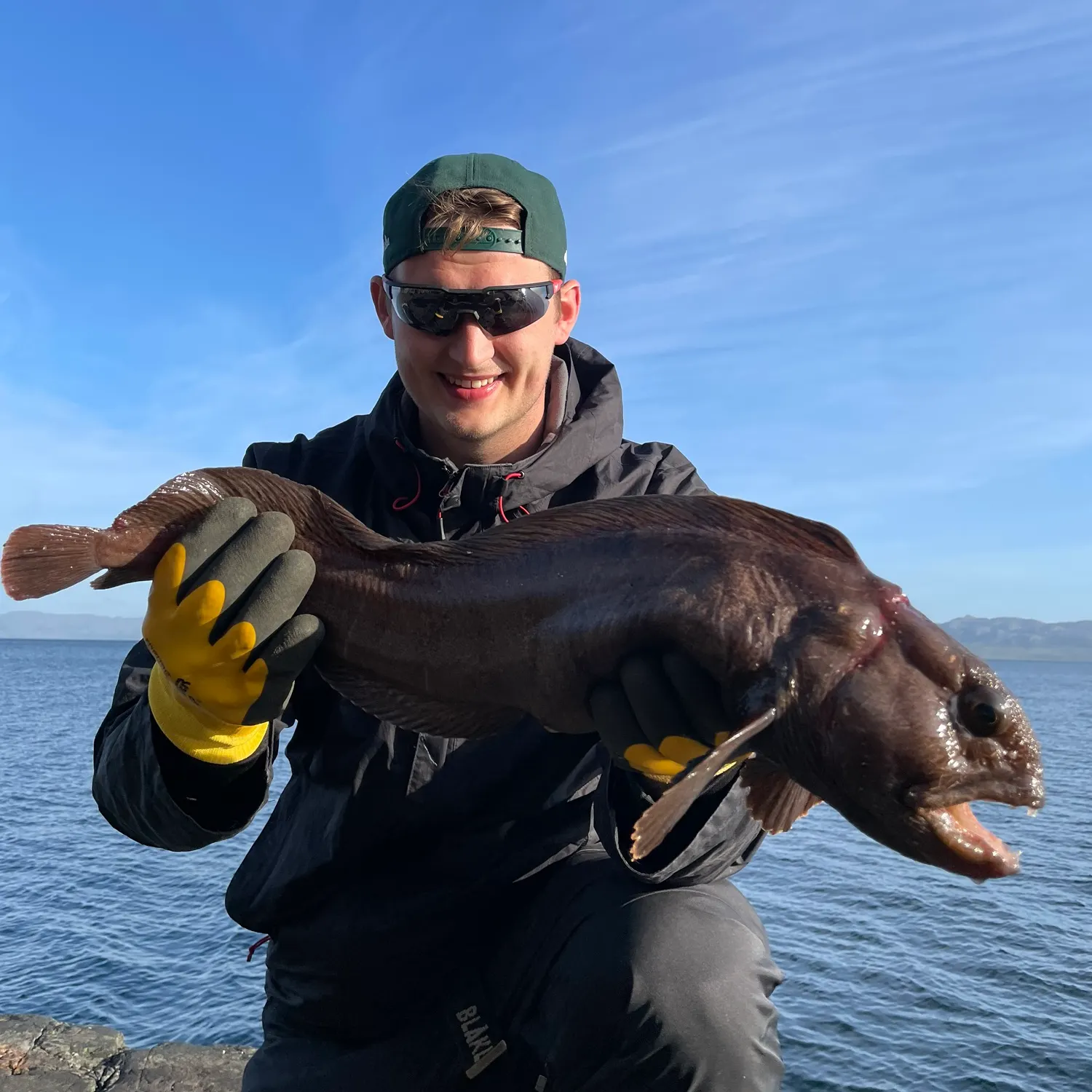The most recent Atlantic wolffish catches on Fishbrain