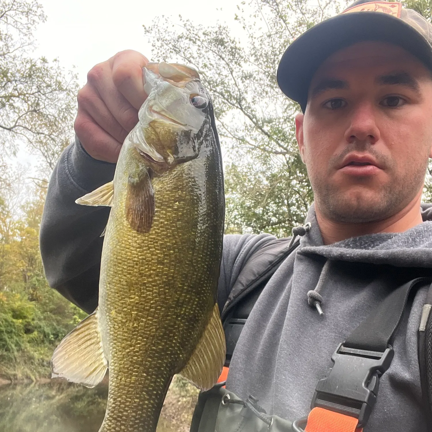 Smallmouth bass caught on Fishbrain