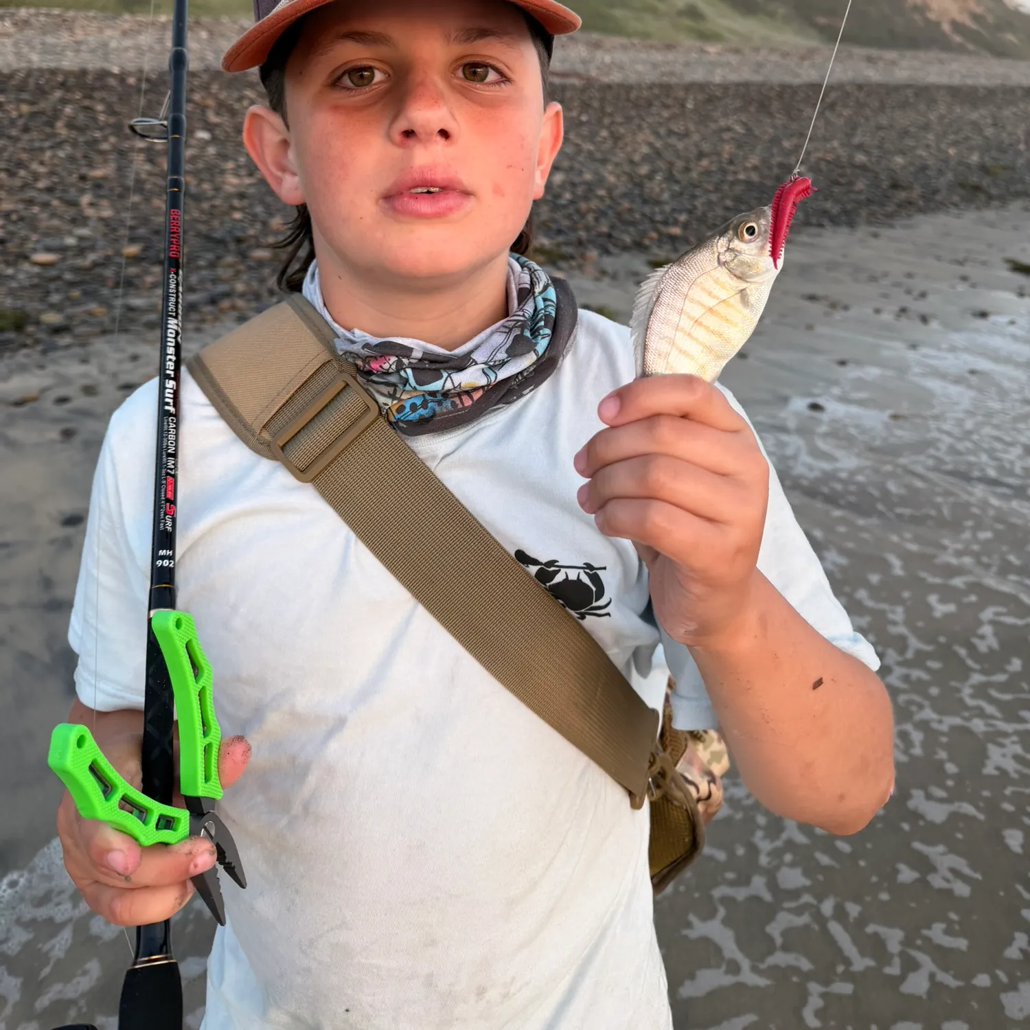 The most recent Barred surfperch catches on Fishbrain