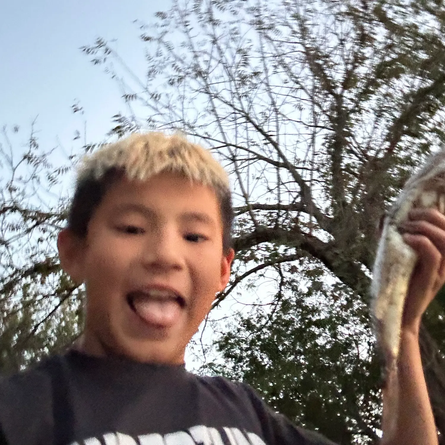 Fish caught on Fishbrain