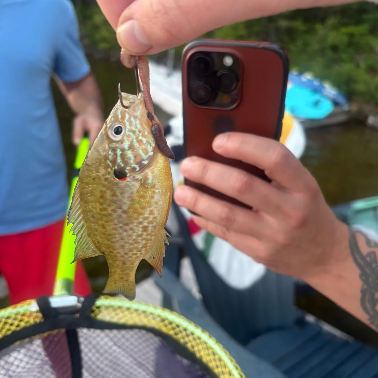 recently logged catches