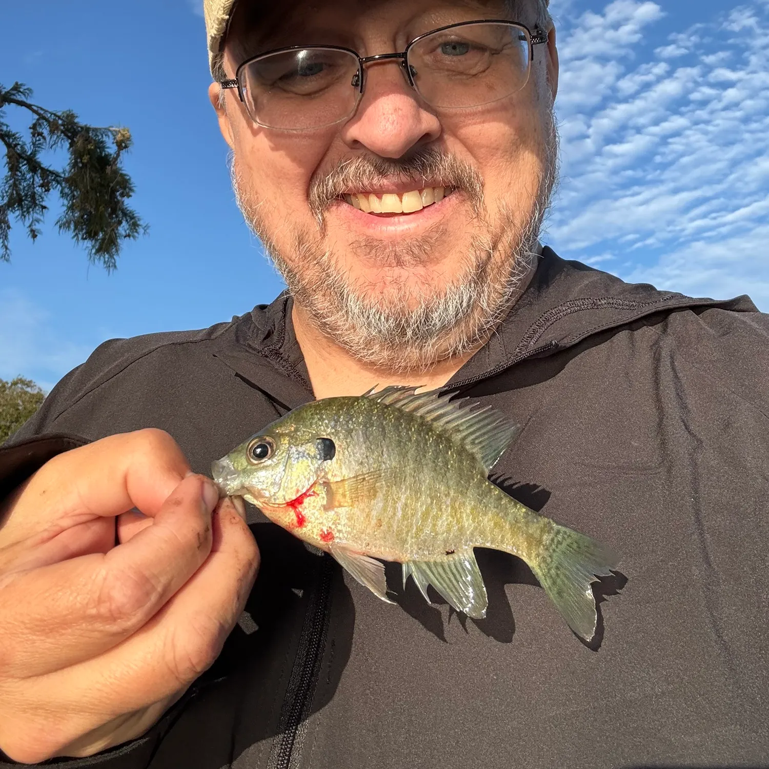 Bluegill caught on Fishbrain