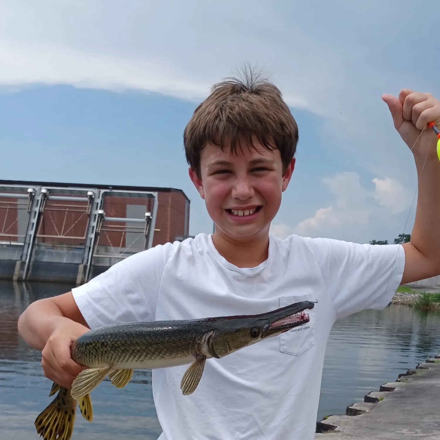 The most recent Alligator gar catches on Fishbrain