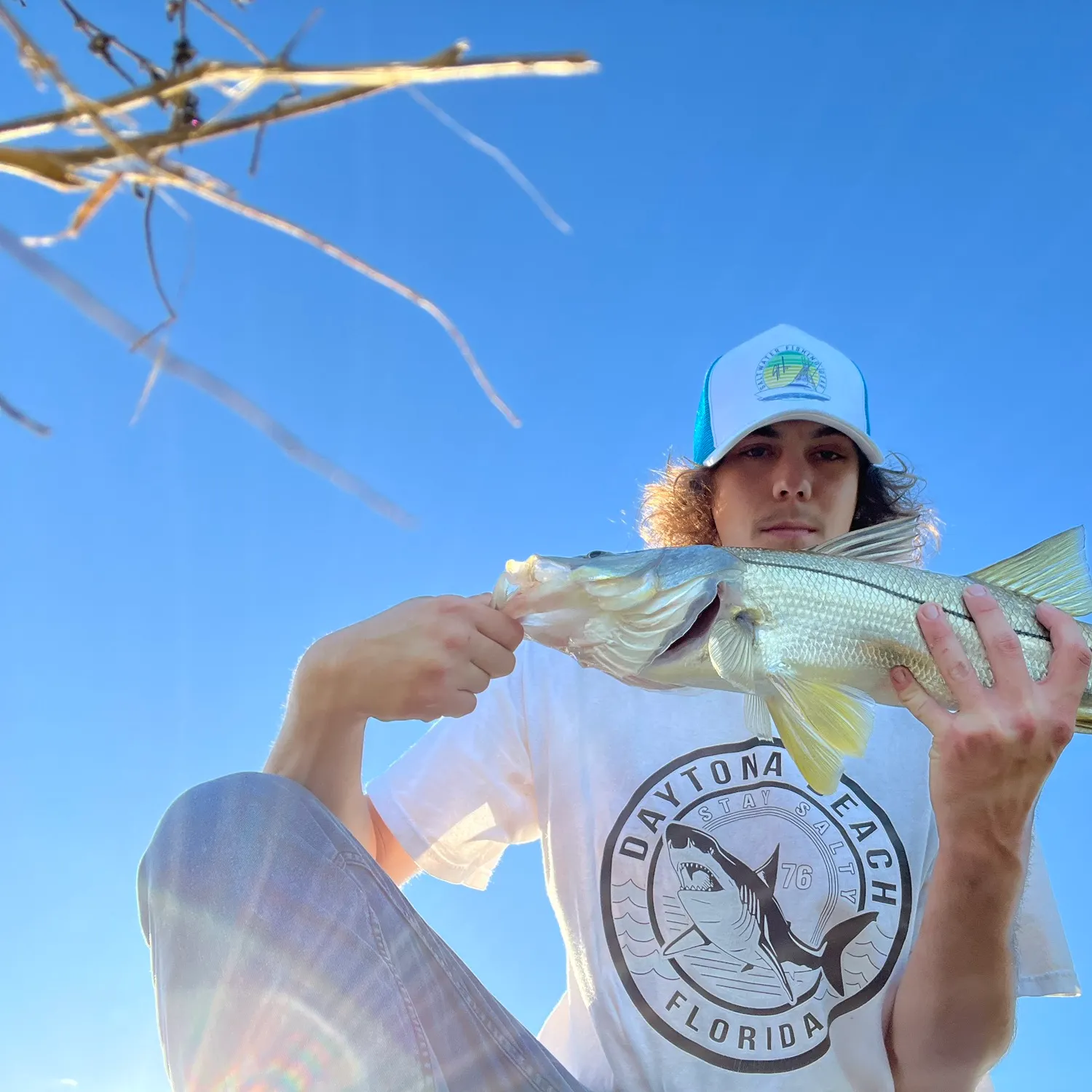Common snook caught on Fishbrain