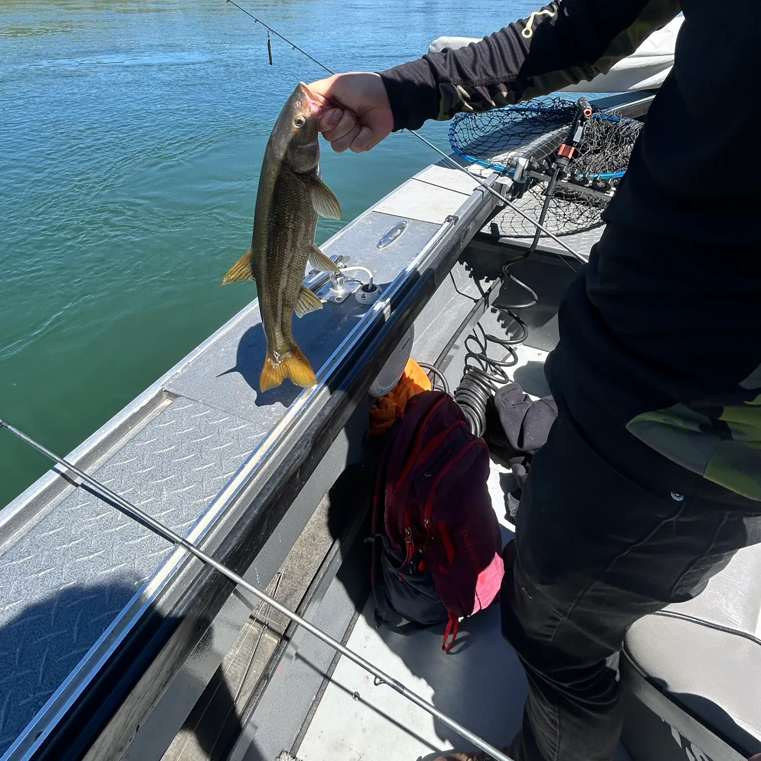 catch