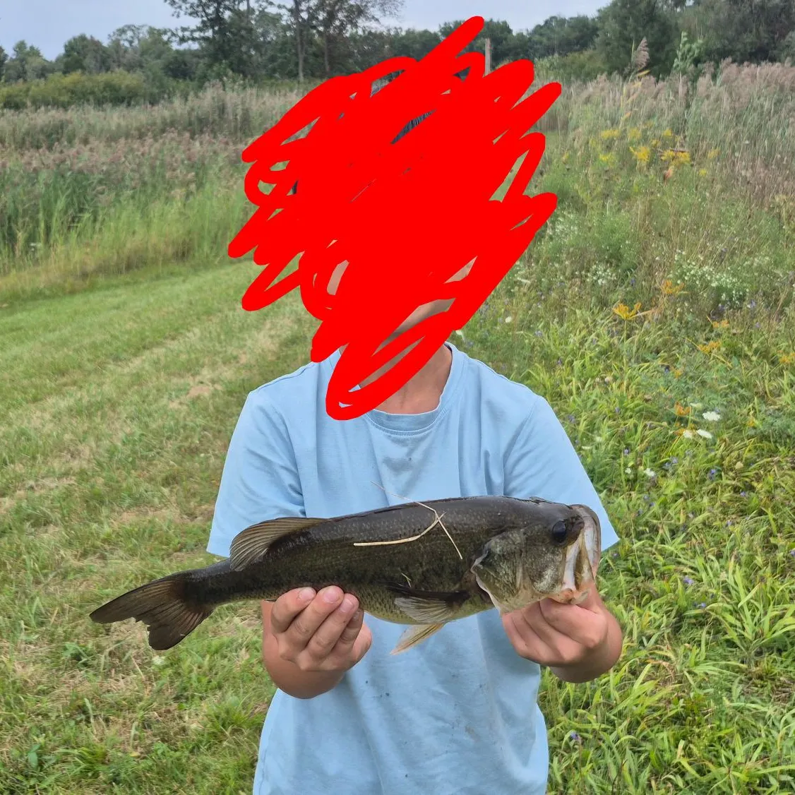 Largemouth bass caught on Fishbrain