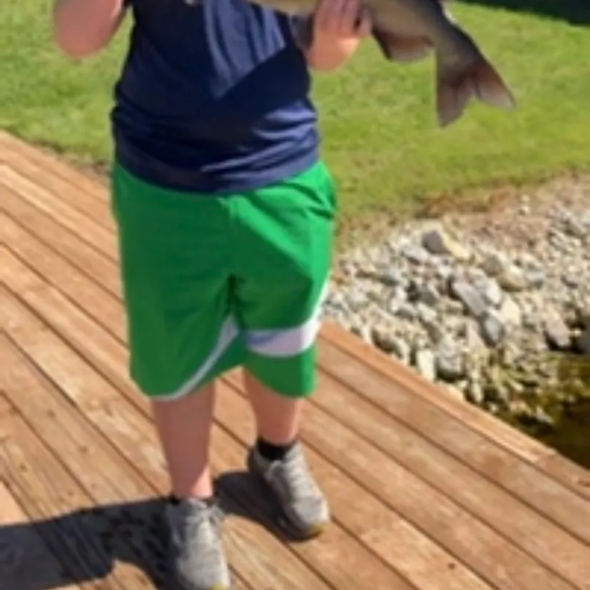 Channel catfish caught on Fishbrain