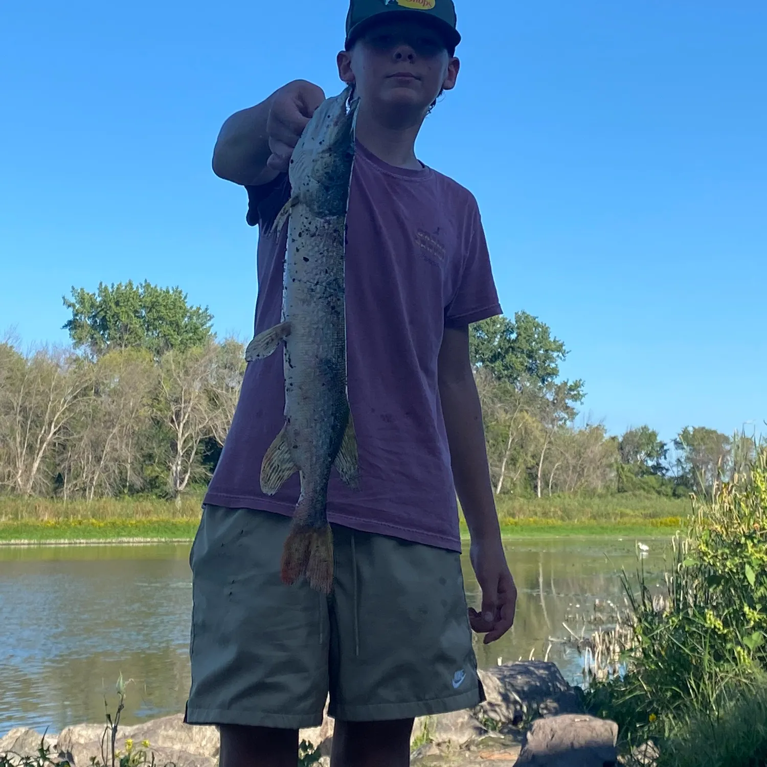 Northern pike caught on Fishbrain