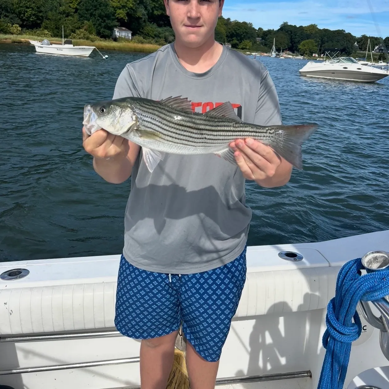 Striped bass caught on Fishbrain