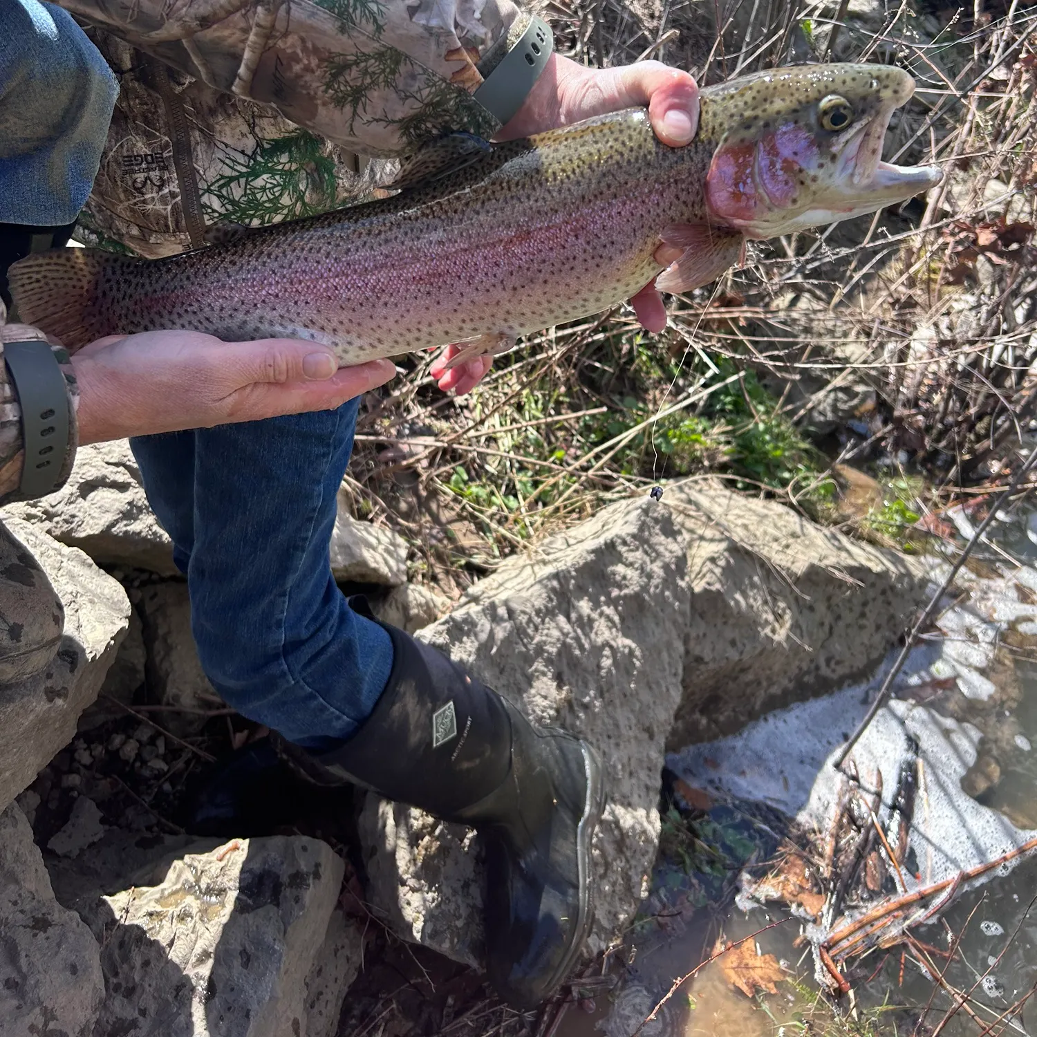 catch