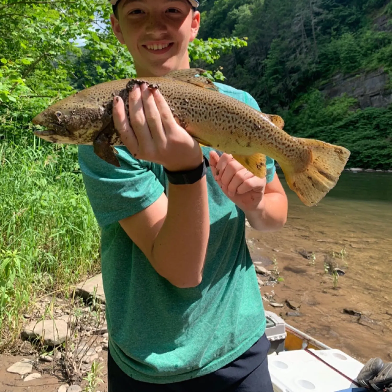 recently logged catches
