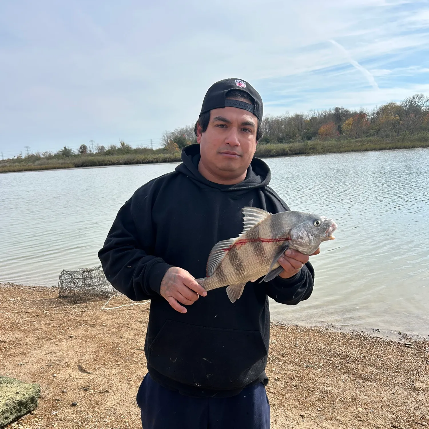 The most recent Black drum catches on Fishbrain