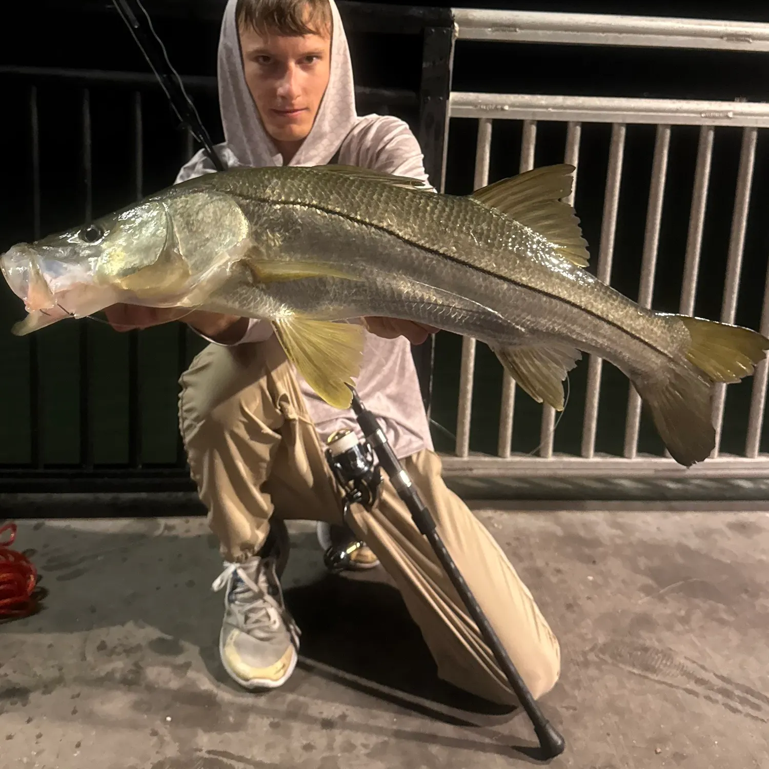 Common snook caught on Fishbrain