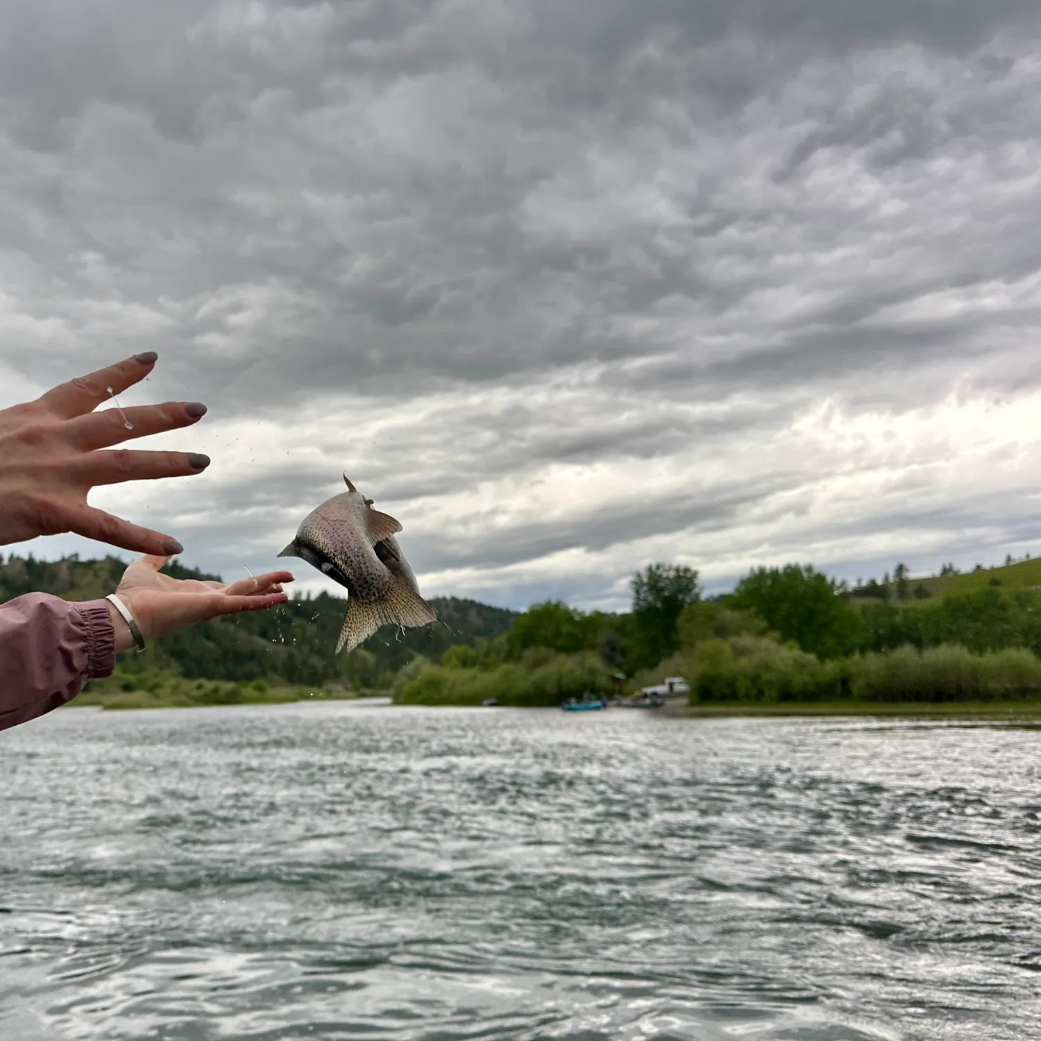 catch
