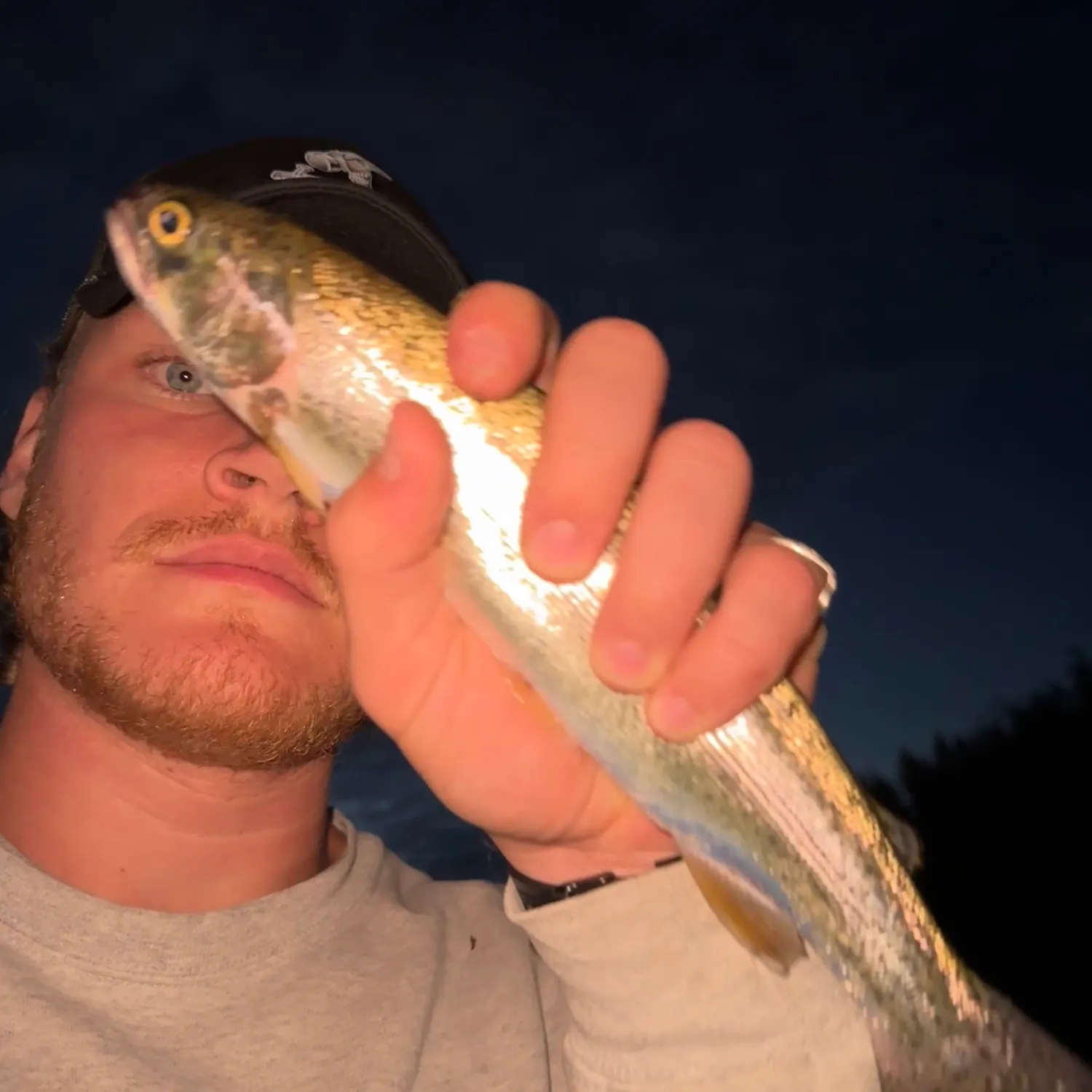 Rainbow trout caught on Fishbrain