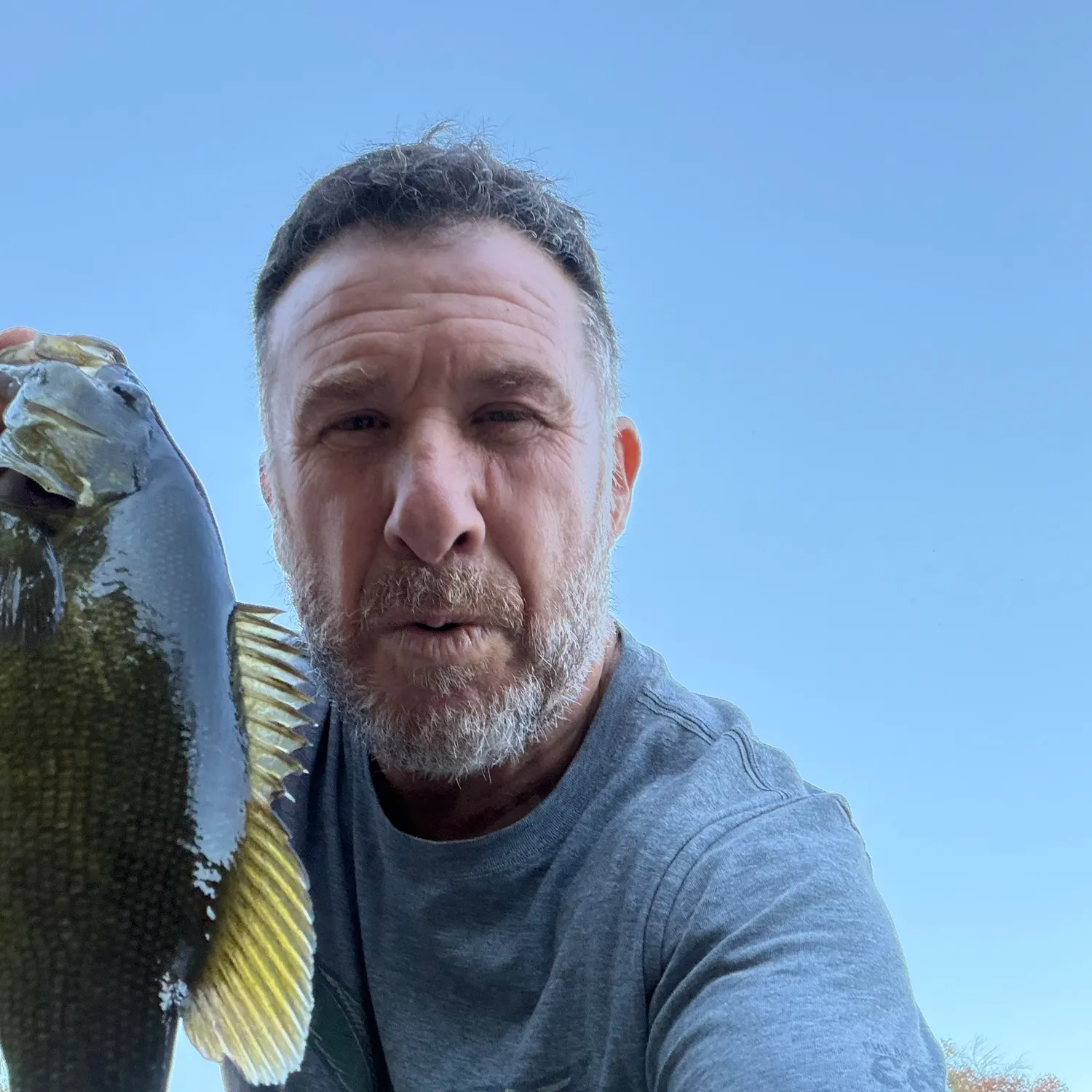Smallmouth bass caught on Fishbrain