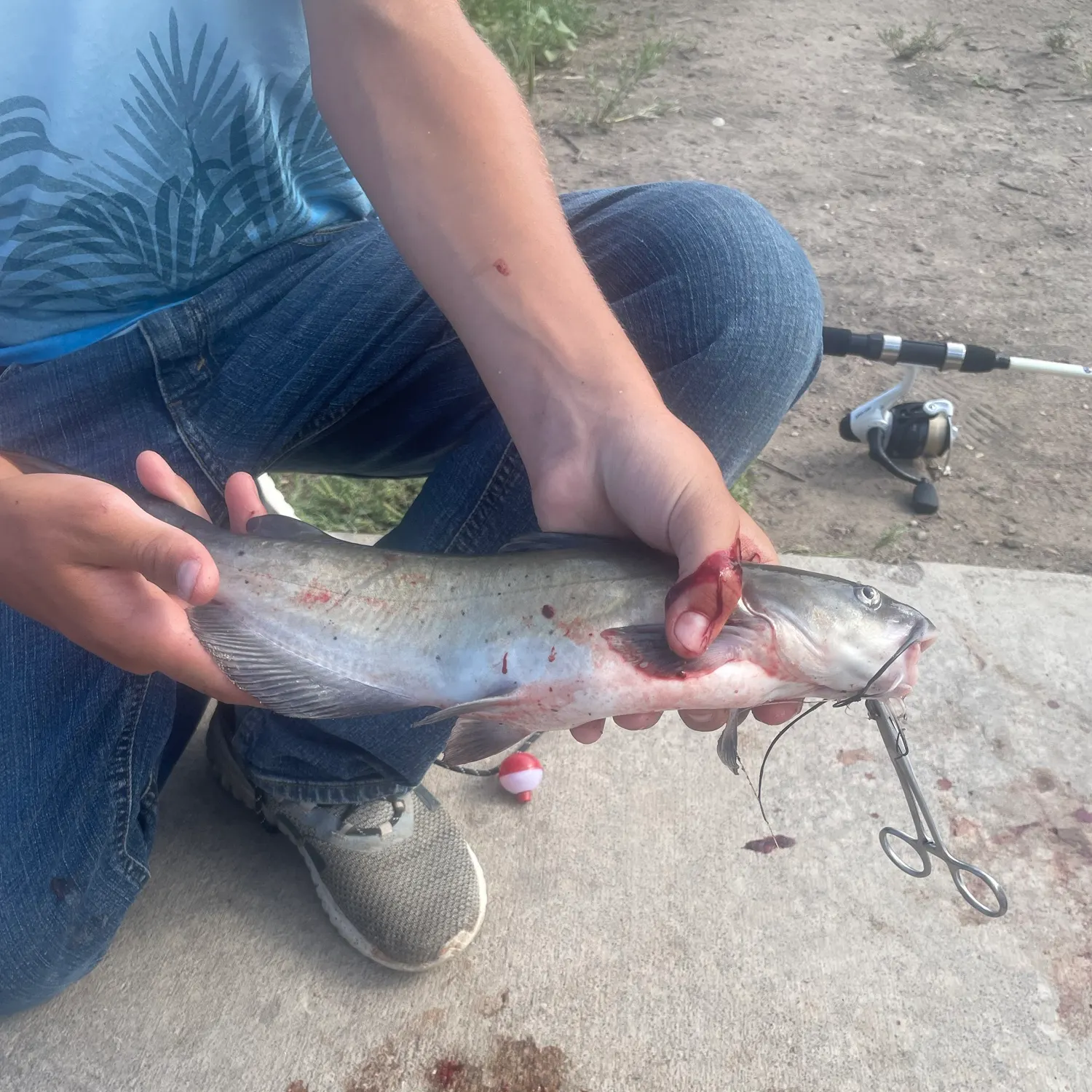 catch