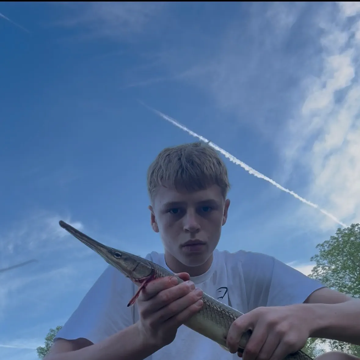 The most recent Shortnose gar catches on Fishbrain