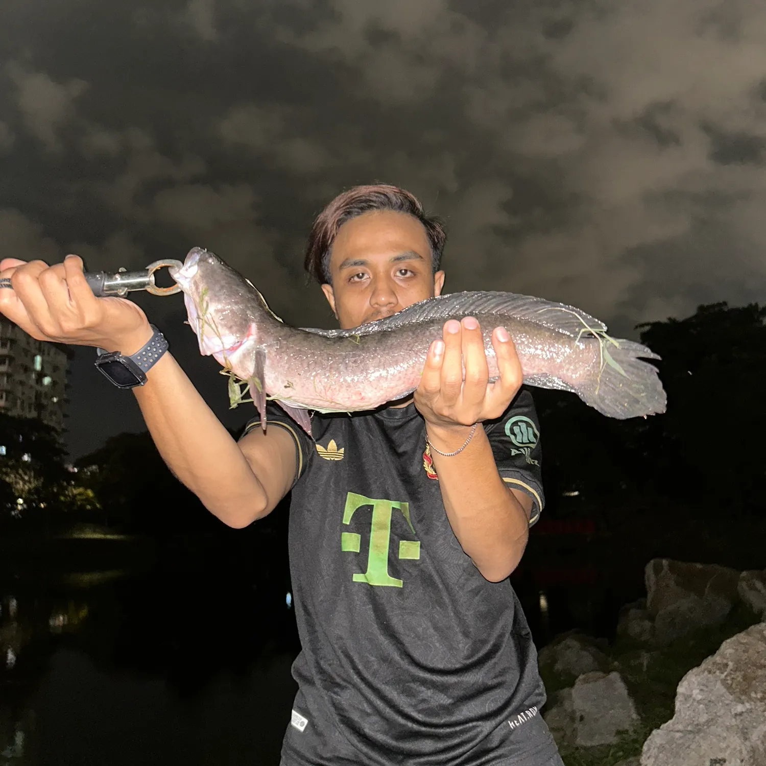 The most recent Striped snakehead catches on Fishbrain