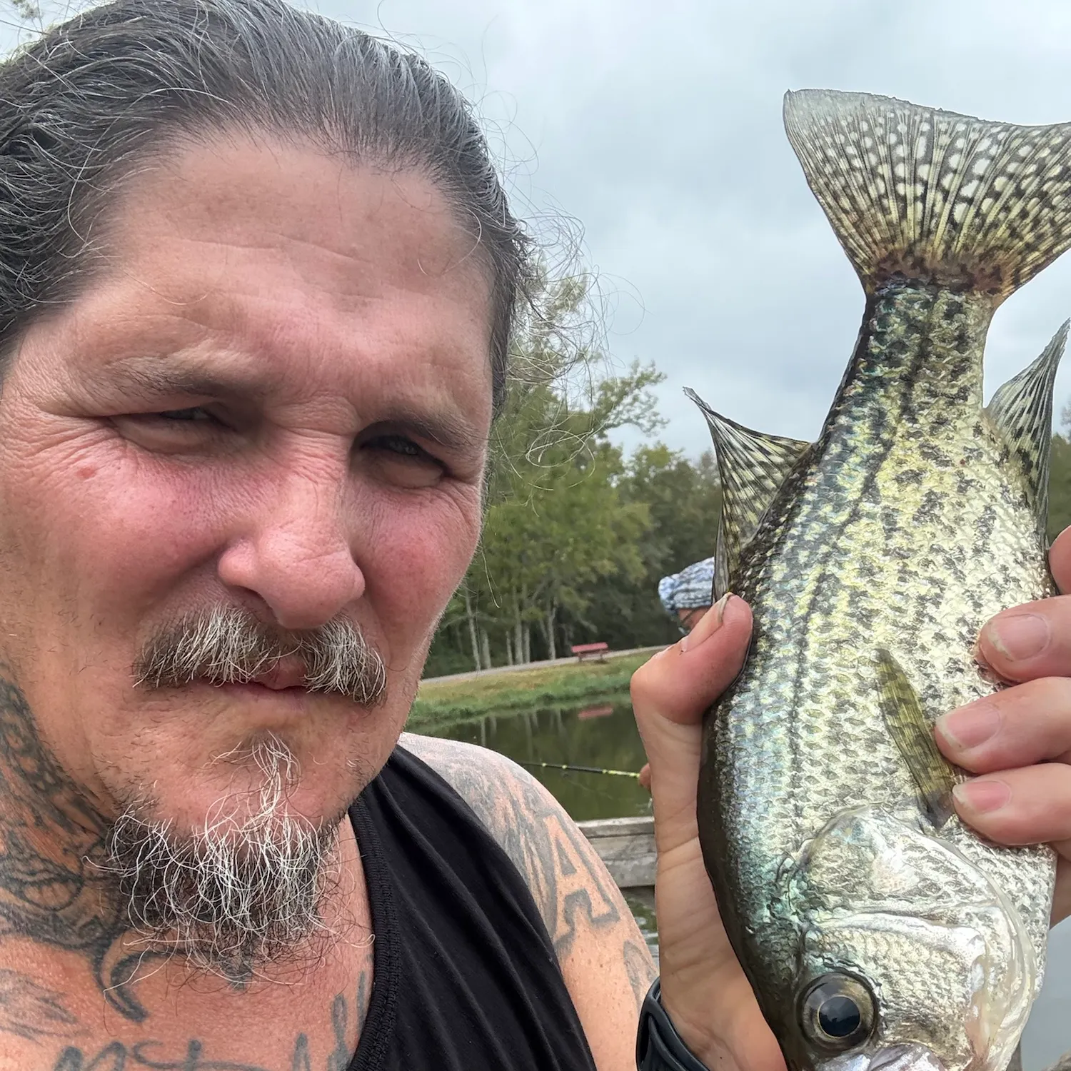 Black crappie caught on Fishbrain