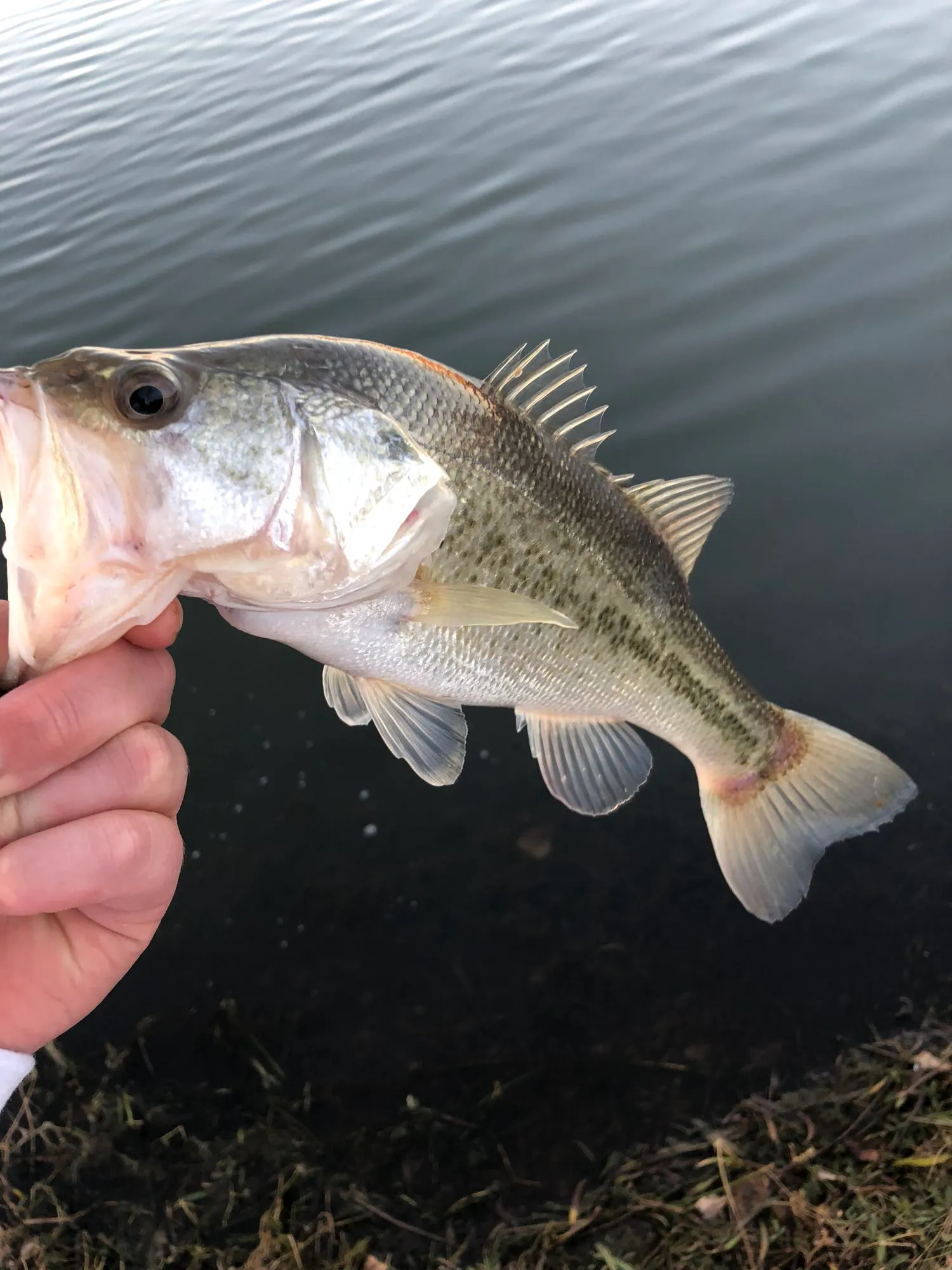 Post image from jordan.hamilton