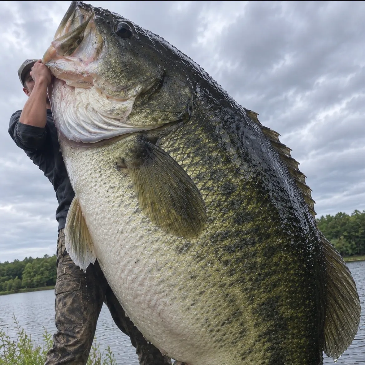 Fish caught on Fishbrain