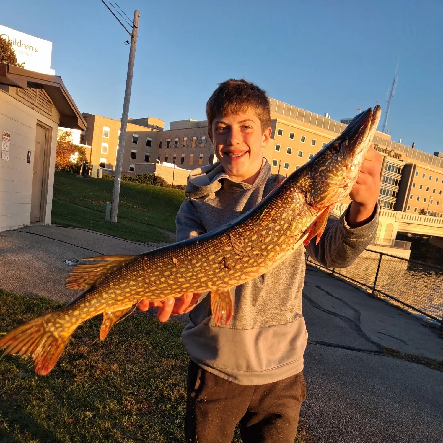 Northern pike caught on Fishbrain