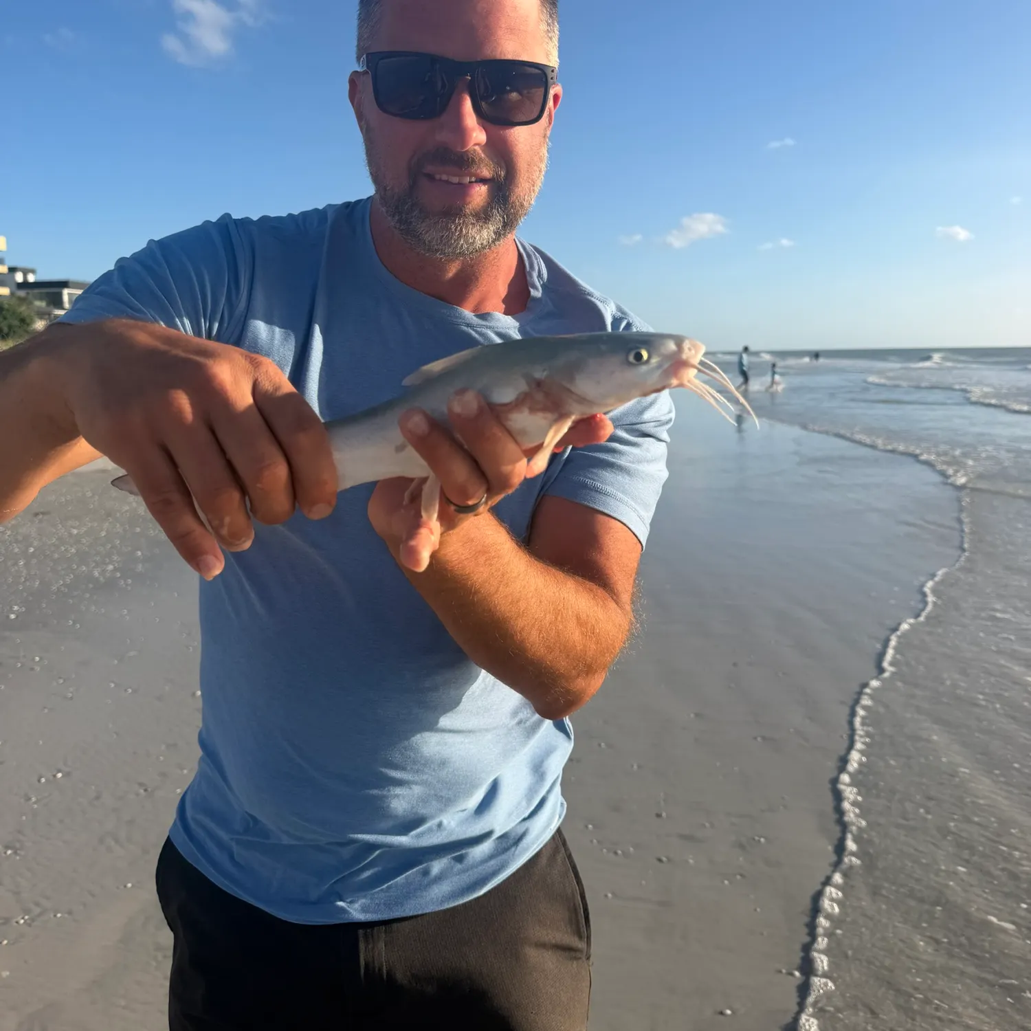 Blue catfish caught on Fishbrain