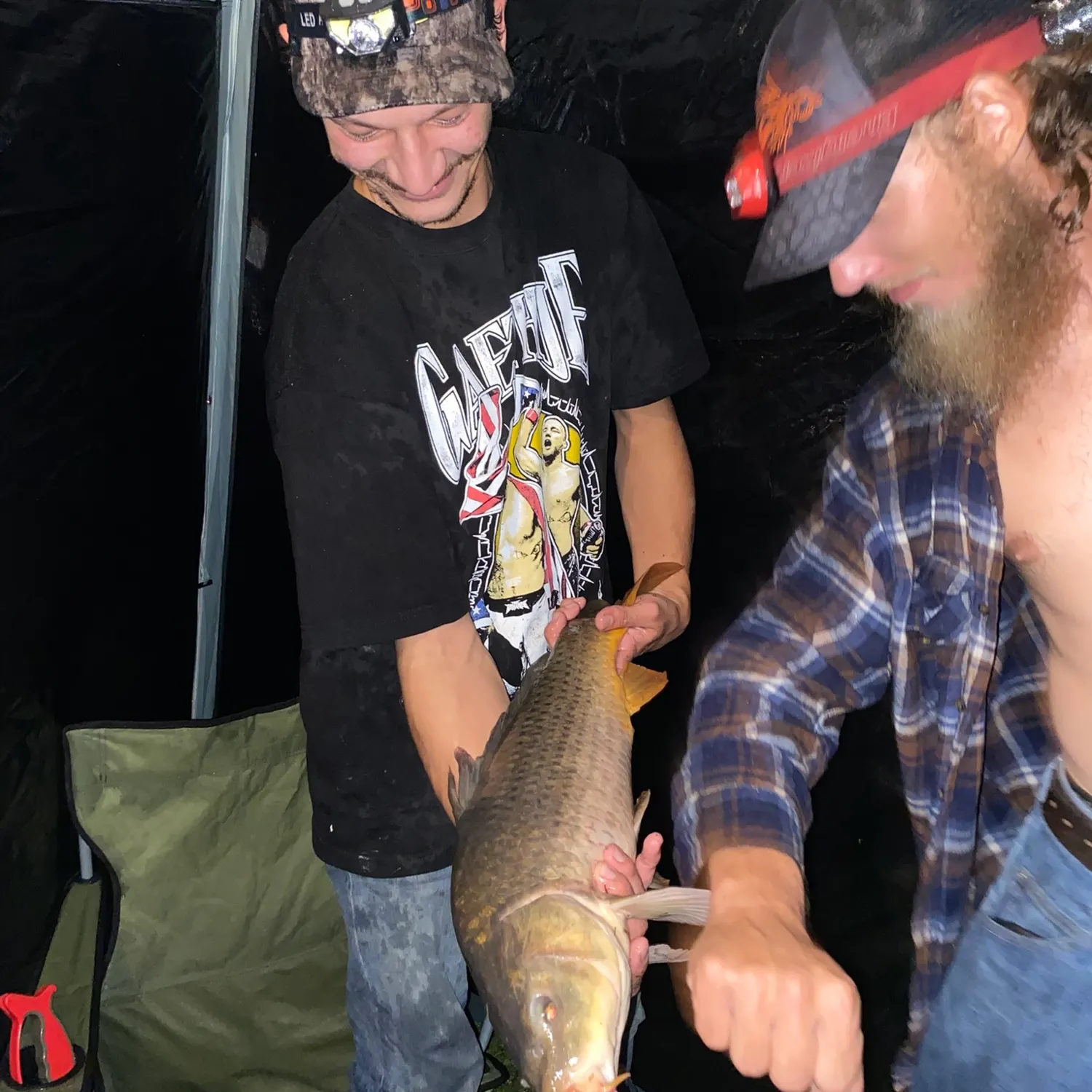 Common carp caught on Fishbrain