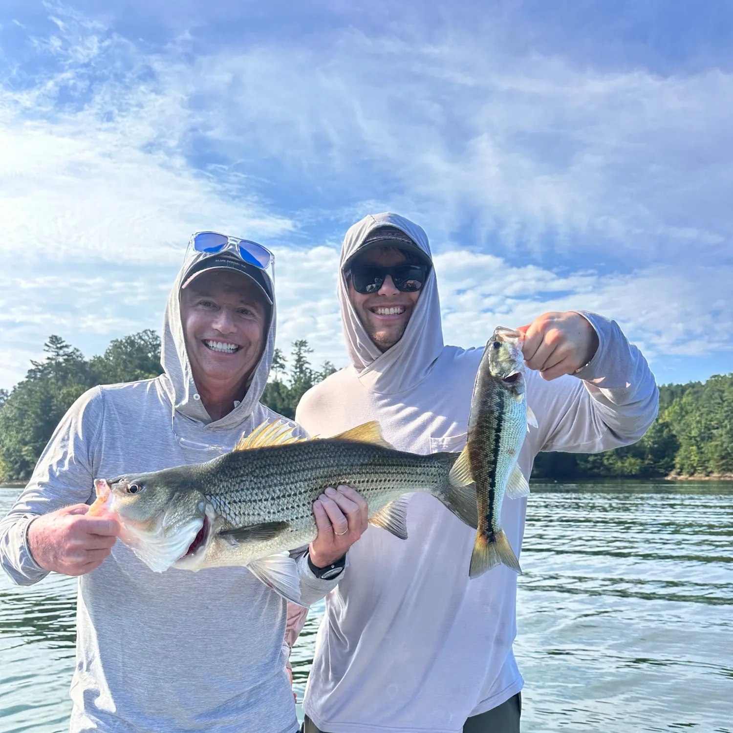 Spotted bass caught on Fishbrain