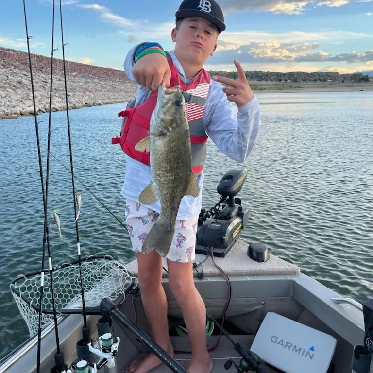 Smallmouth bass caught on Fishbrain