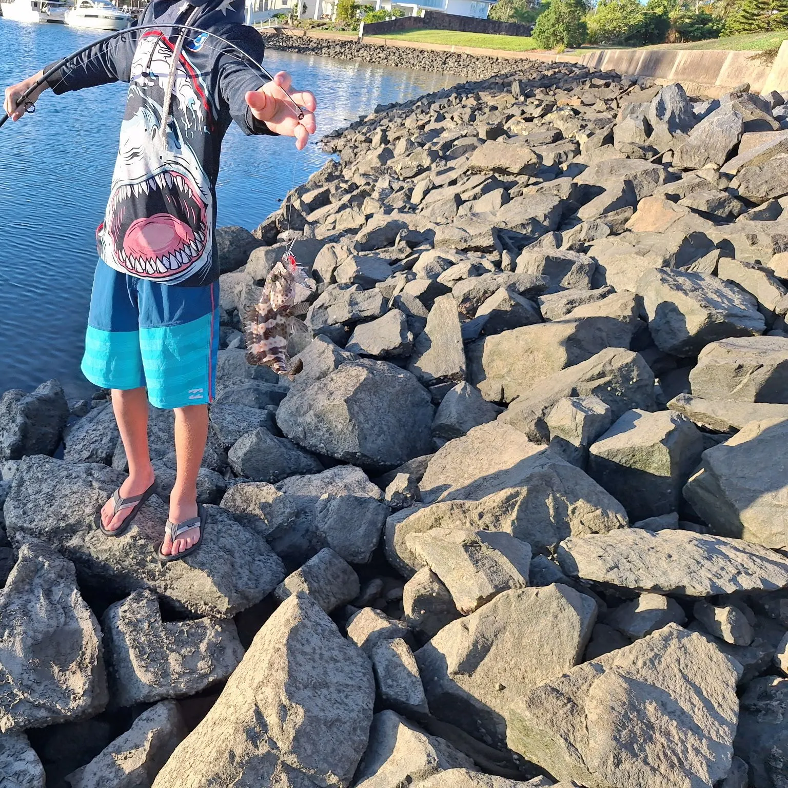 recently logged catches