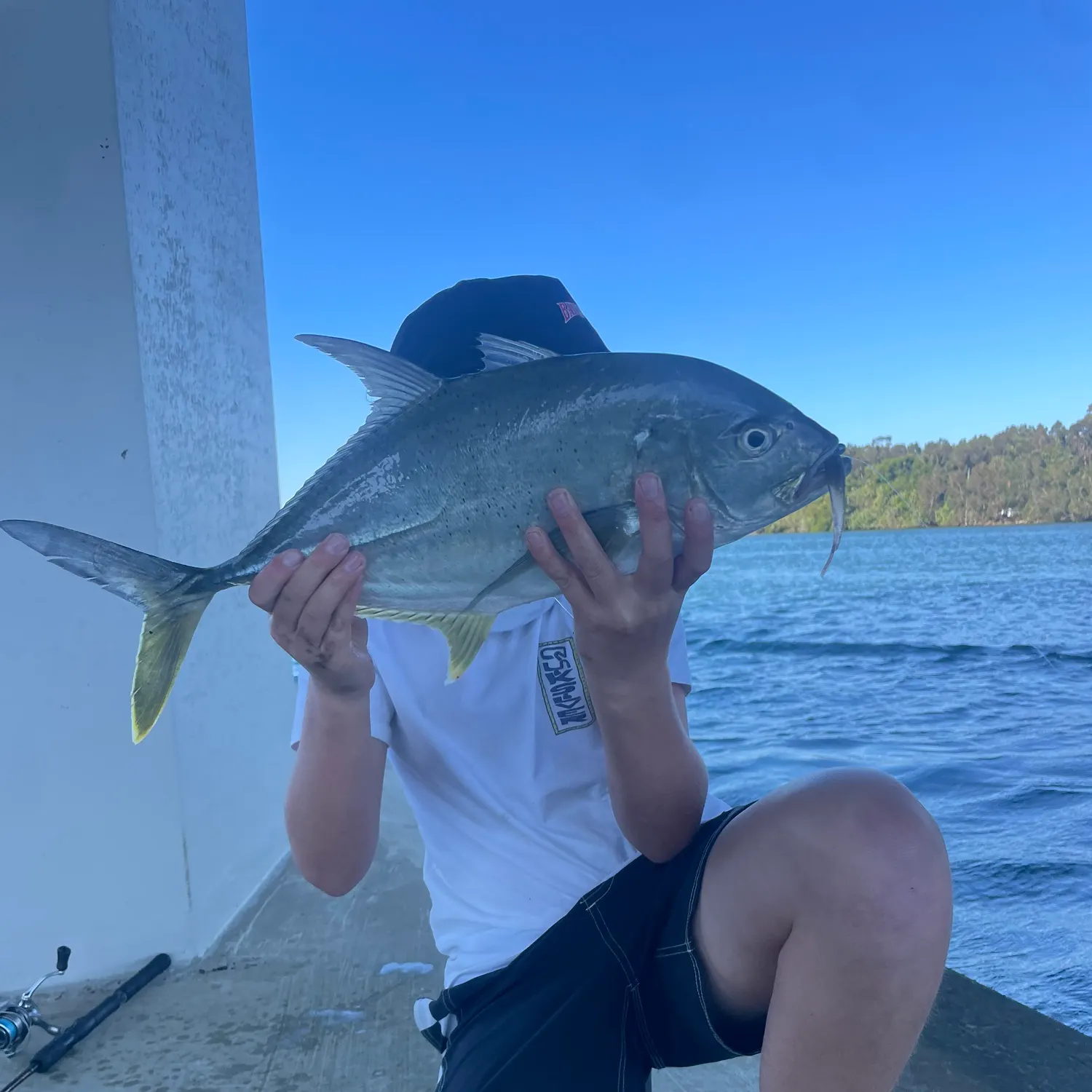 The most recent Brassy trevally catches on Fishbrain