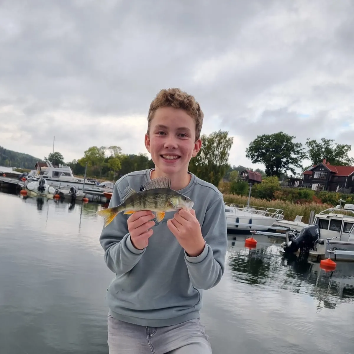 European perch caught on Fishbrain