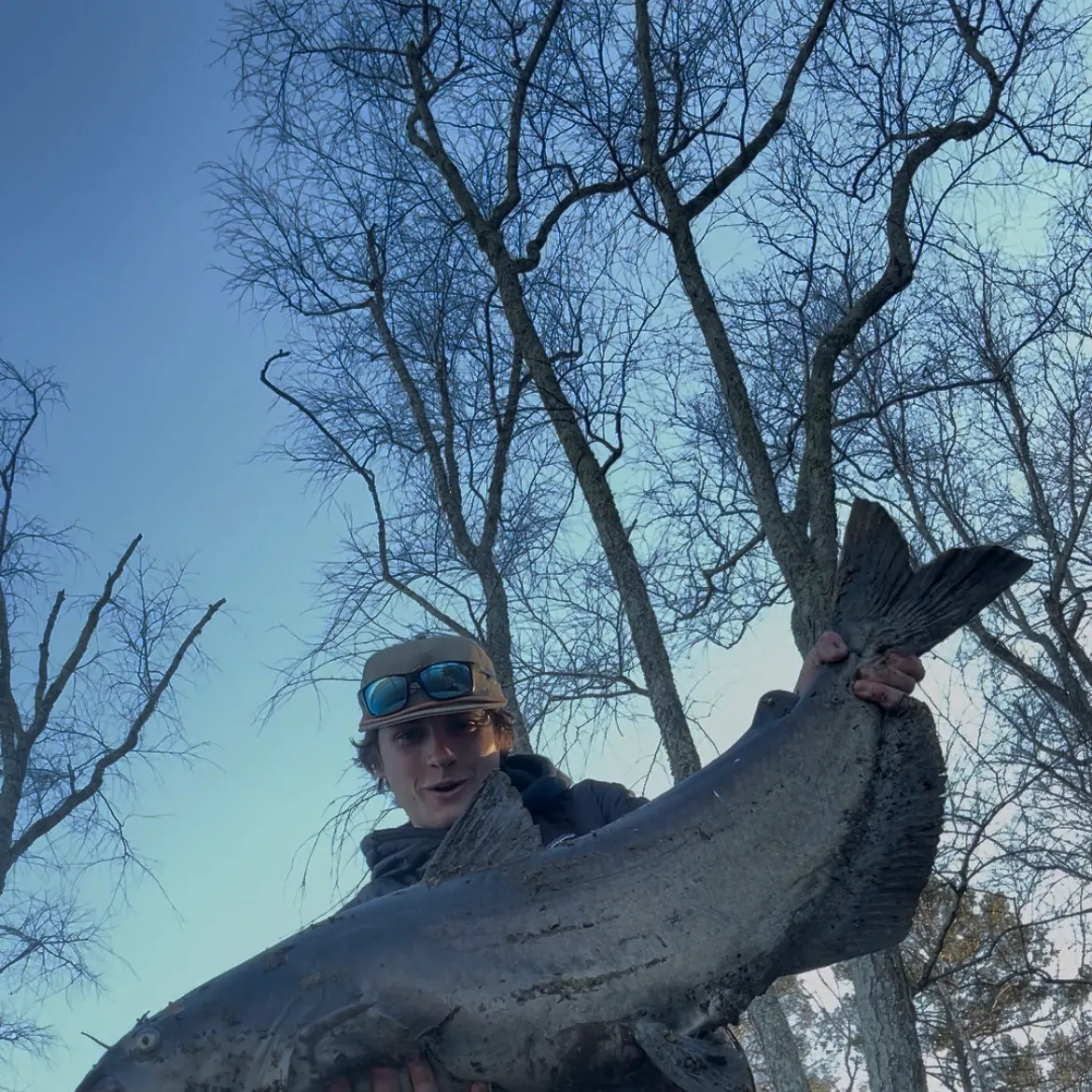 The most recent Blue catfish catches on Fishbrain