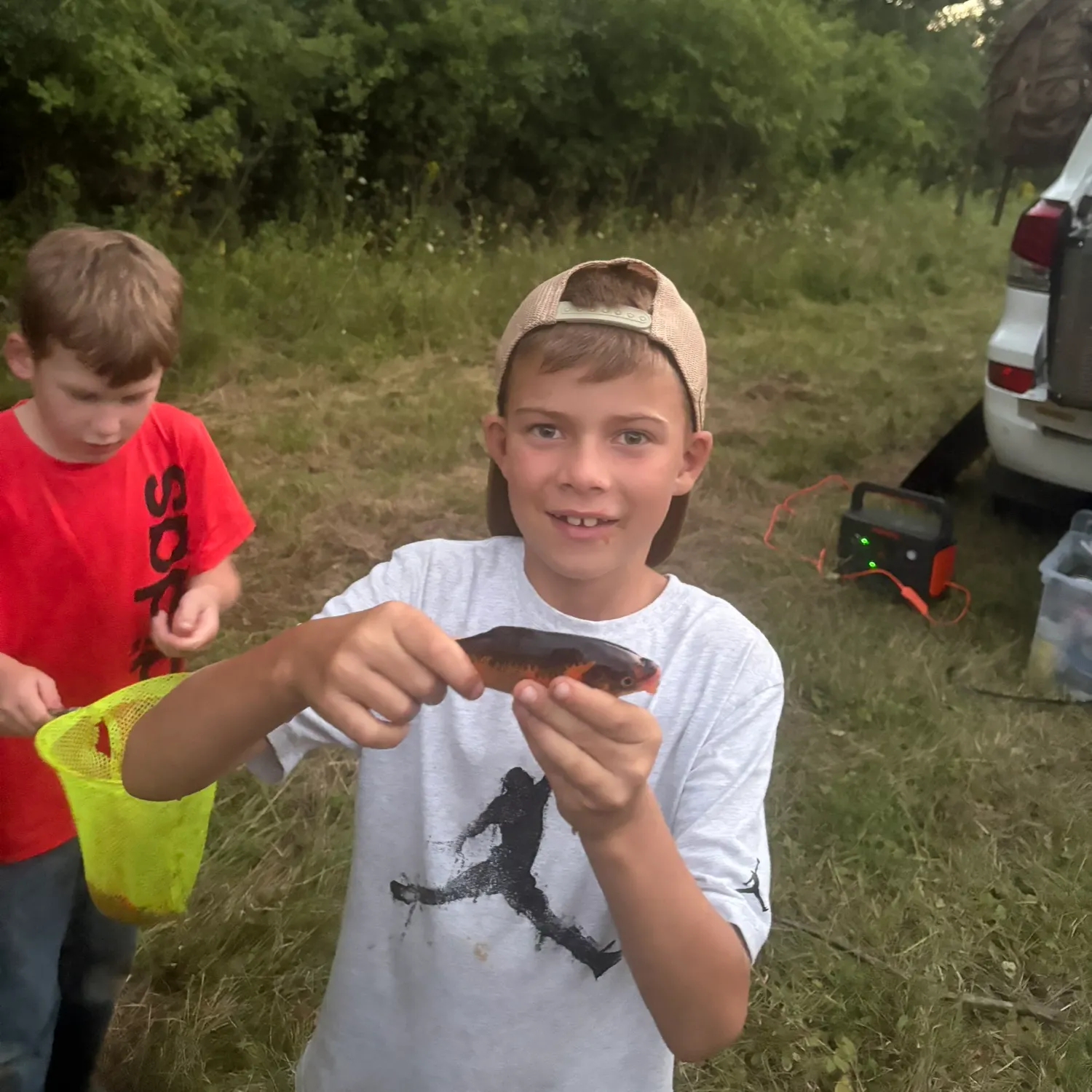 Goldfish caught on Fishbrain