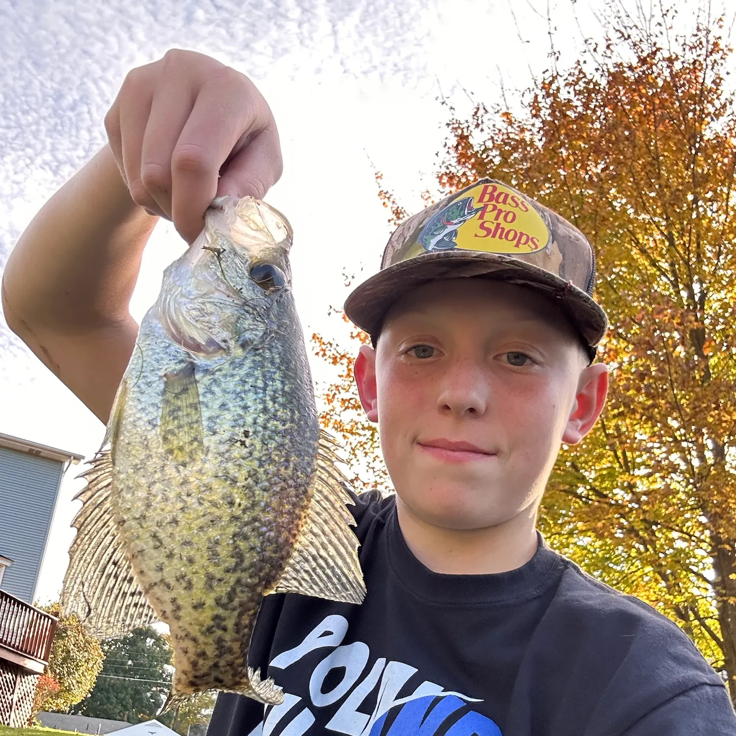 Black crappie caught on Fishbrain