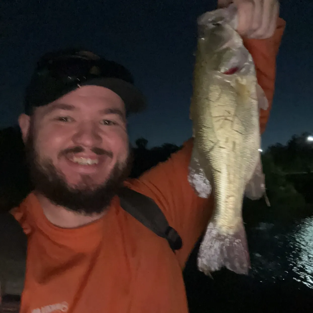 Largemouth bass caught on Fishbrain
